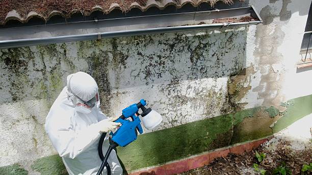 Top rated local Commercial Mold Remediation specialists in Reinholds, PA